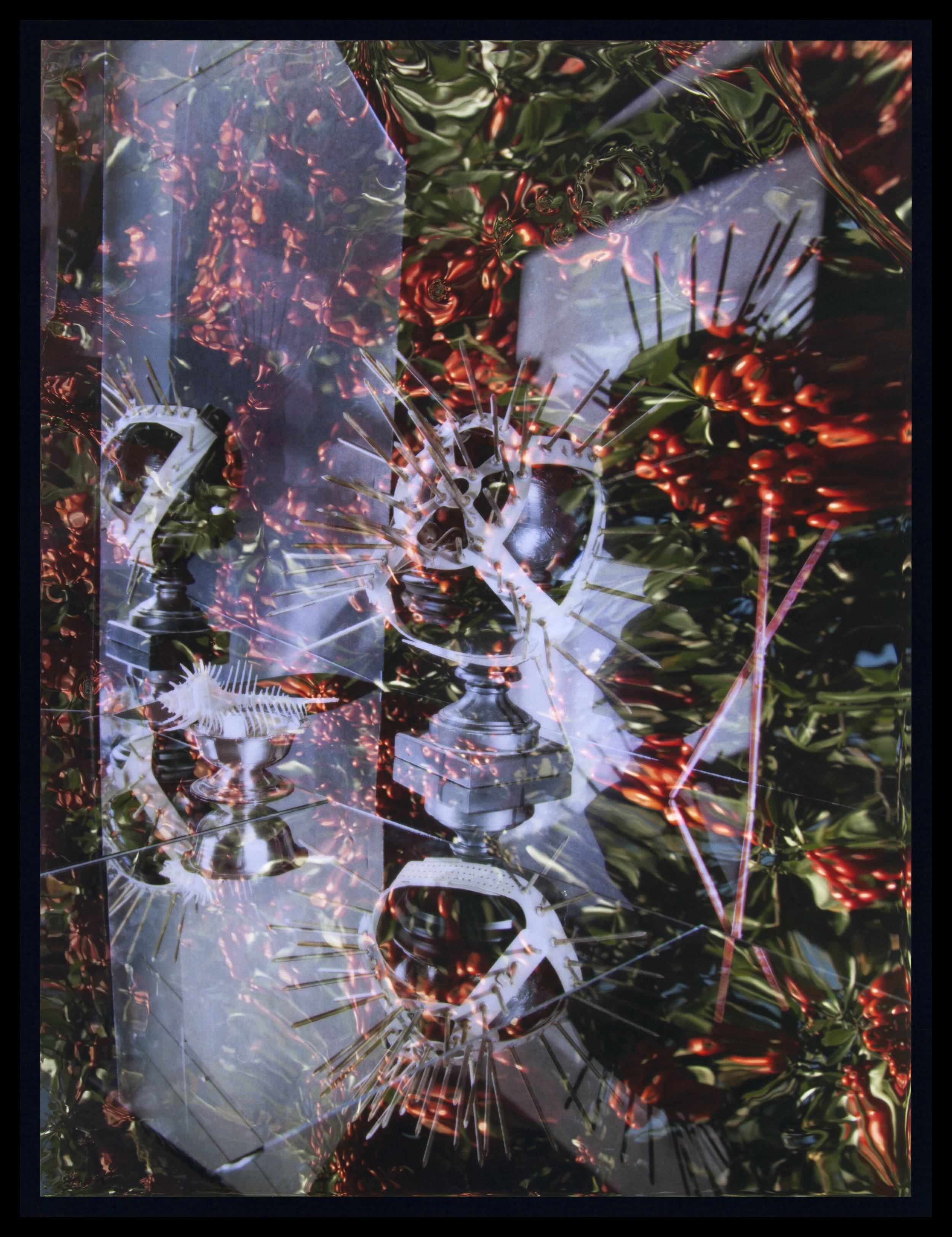 Willa Nasatir. Red #1, 2016. Chromogenic print, 27 1/4 x 21 in. (18.4 x 53.3 cm). Courtesy the artist and Chapter NY.