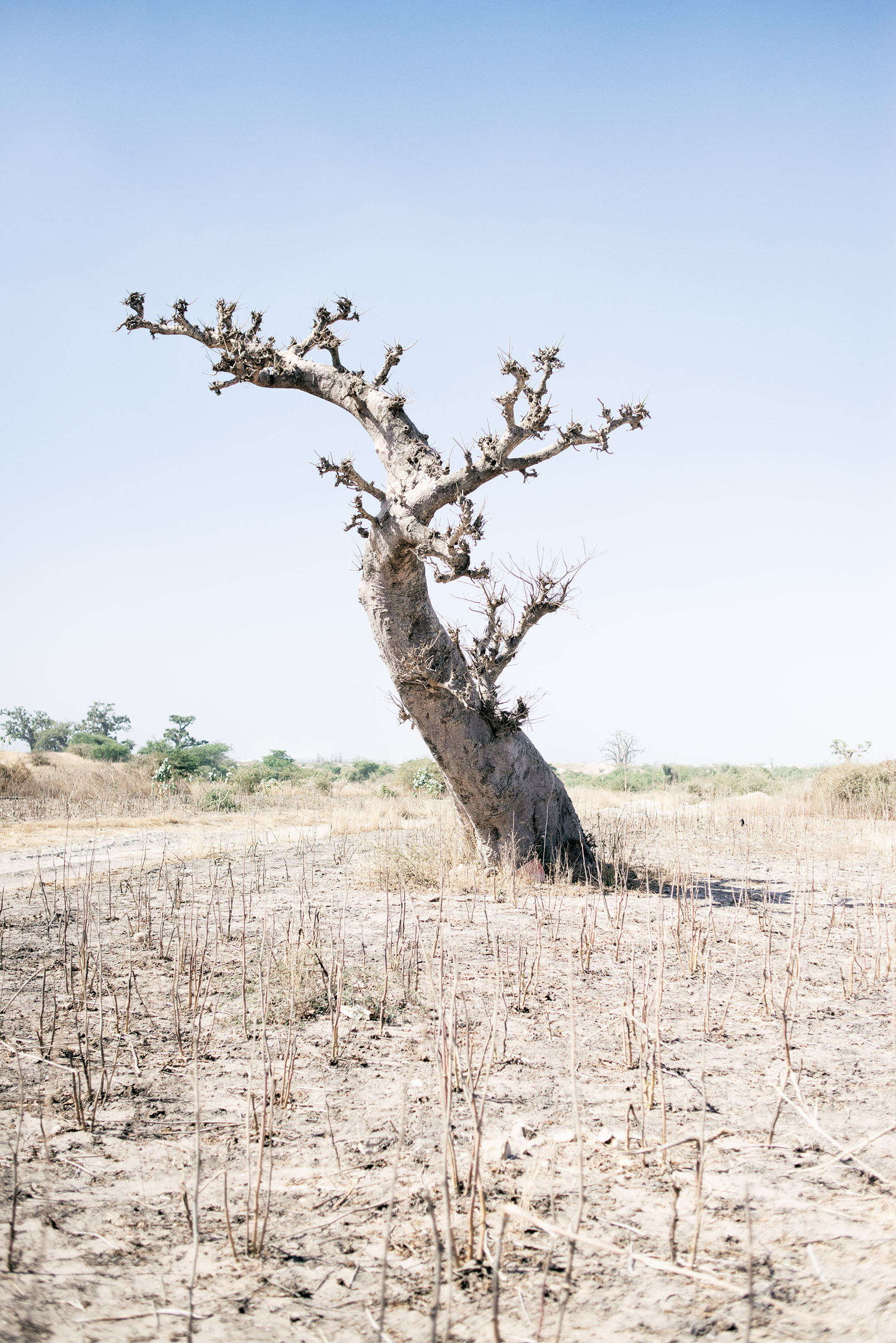 Emmanuelle Andrianjafy, Nothing’s In Vain, published by MACK (2017)