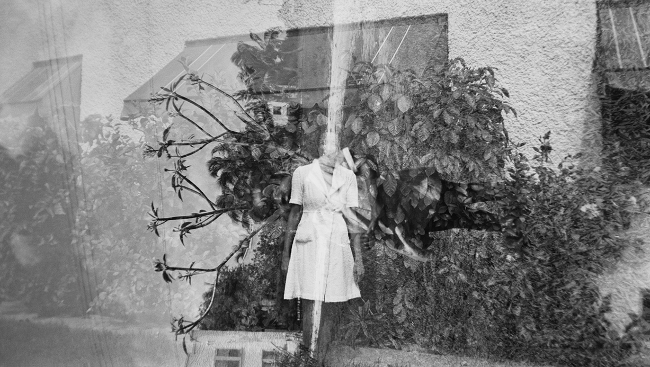 © Sara Macel