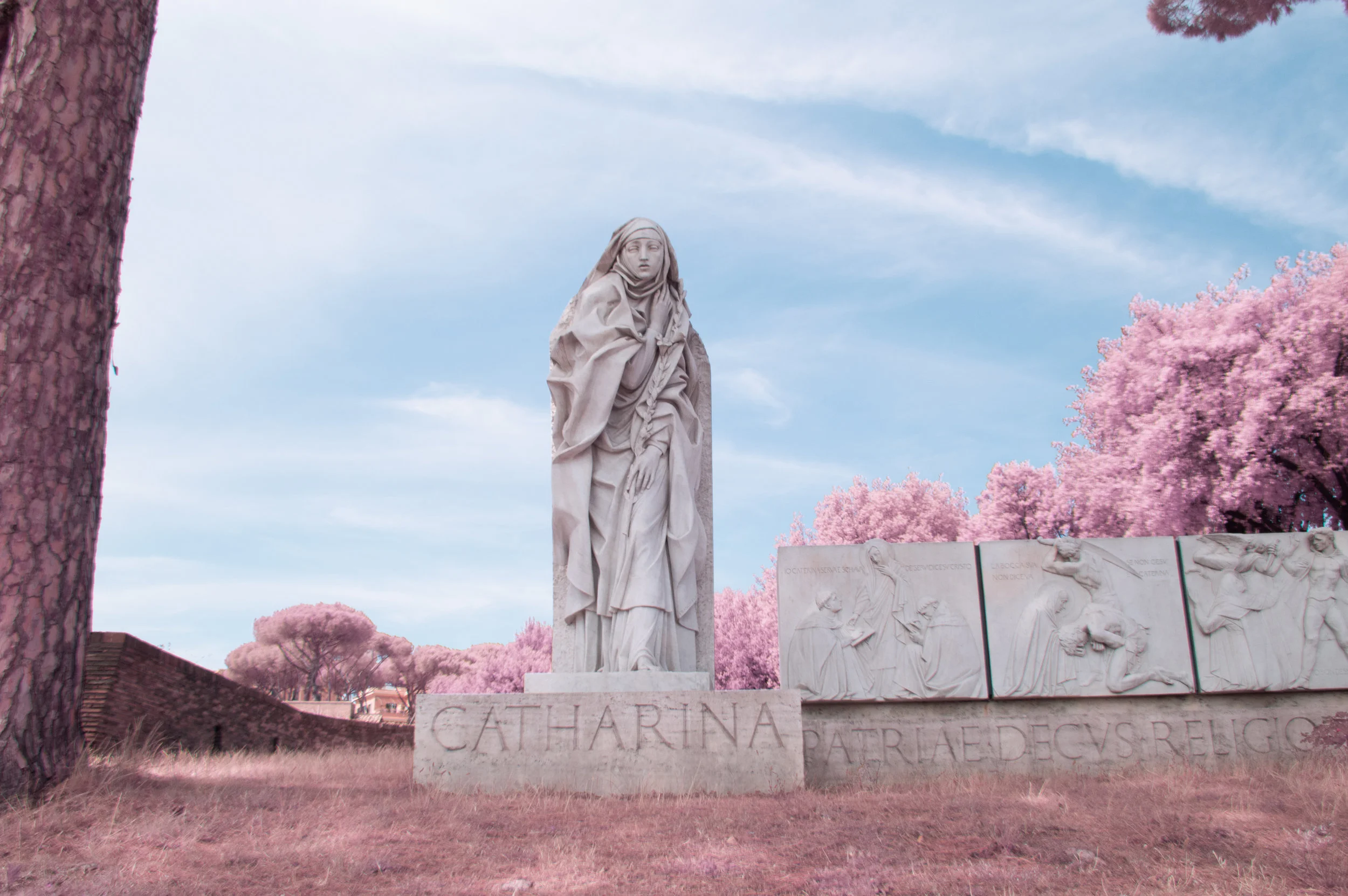 'Roma Rosa 07' © Milán Rácmolnár