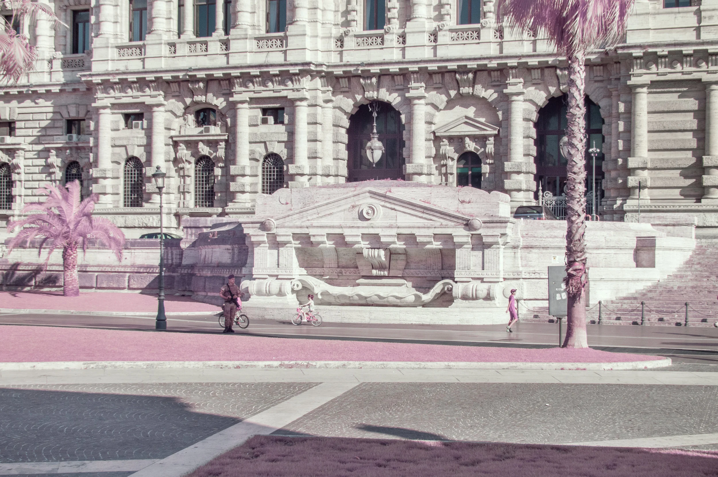 'Roma Rosa 15' © Milán Rácmolnár