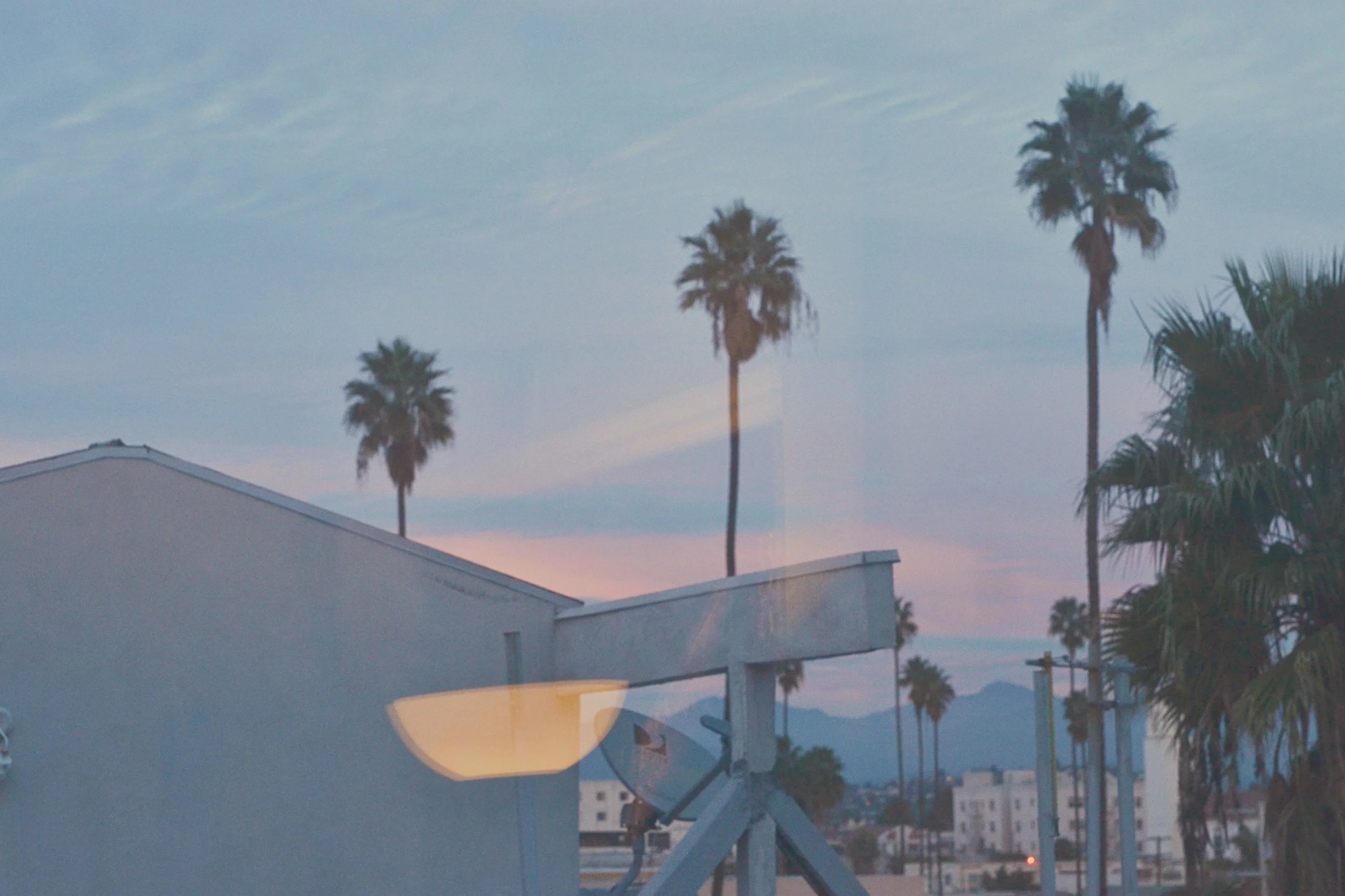 '9' © Sophia Vigne