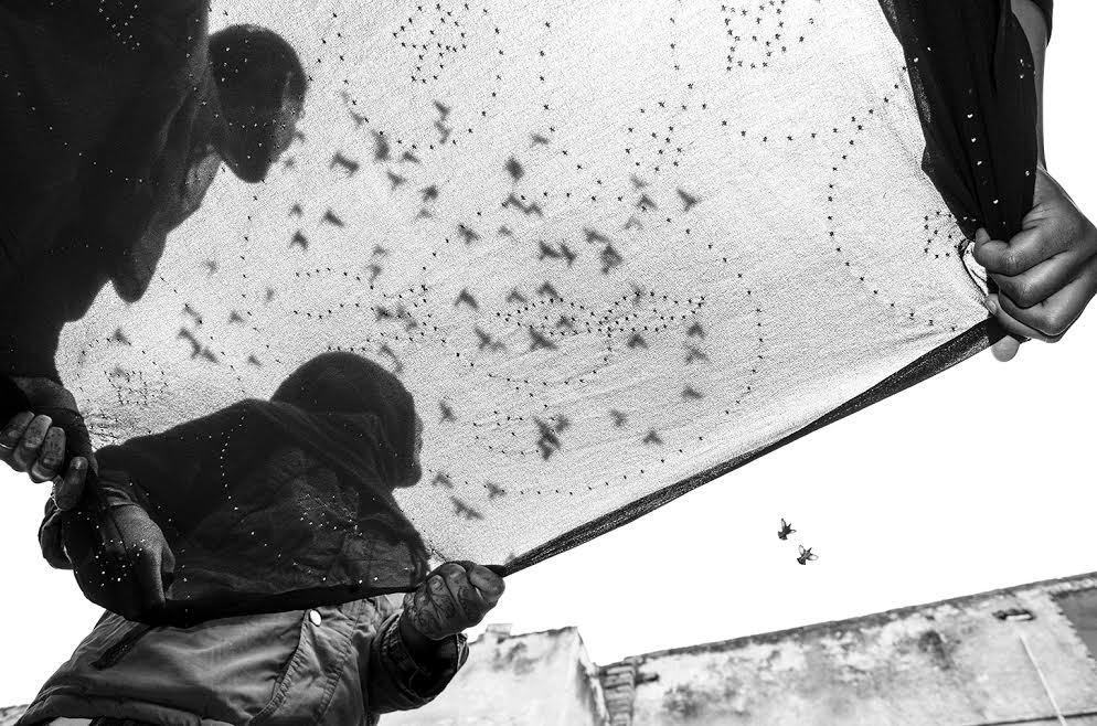 © Taha Ahmad