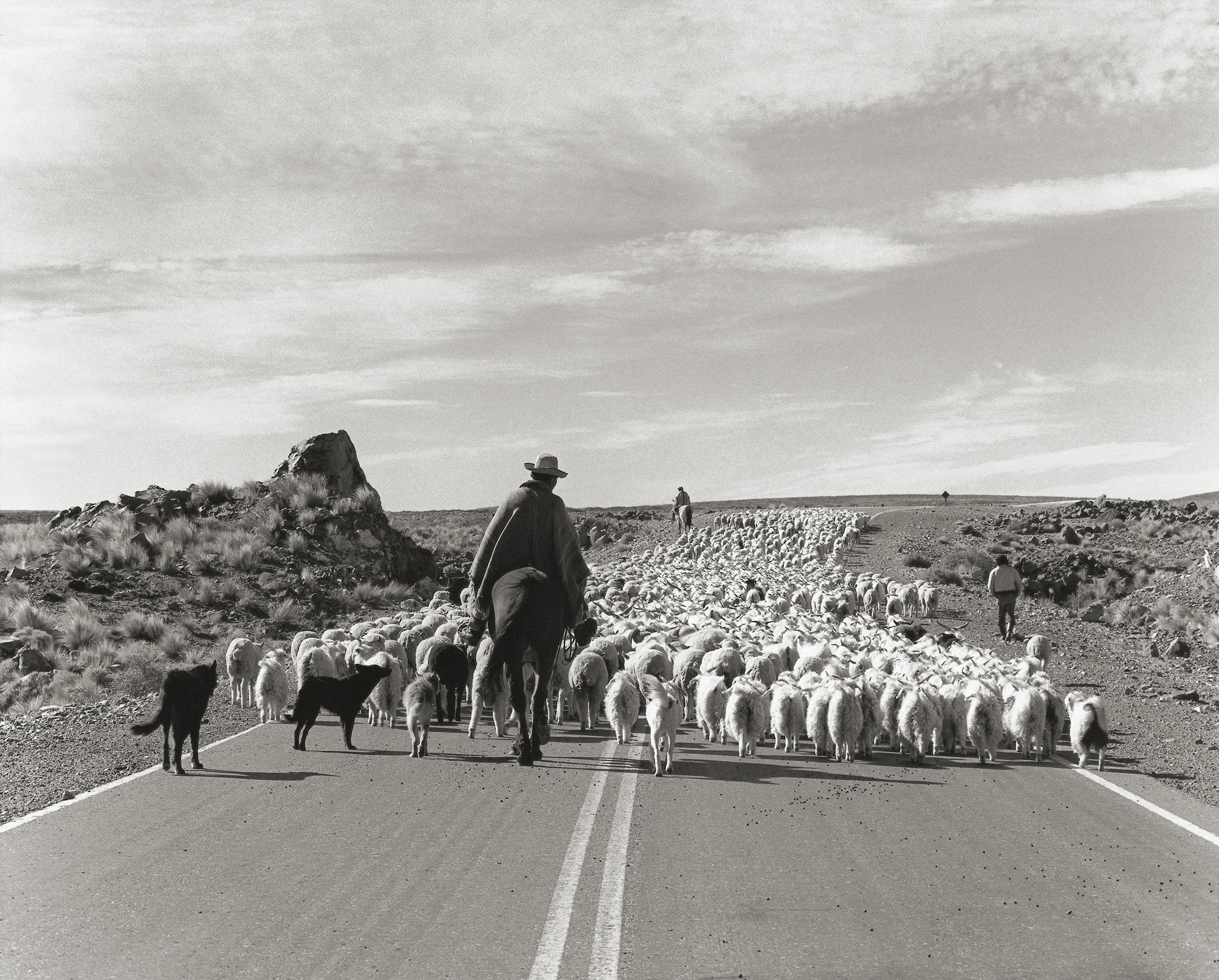 Mapuches volviendo de la Veranada, Neuquén, Argentina, 1990 © Marcos Zimmermann 