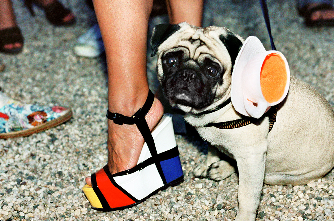 Fashion Victim (Easthampton 2009) © Jessica Craig-Martin