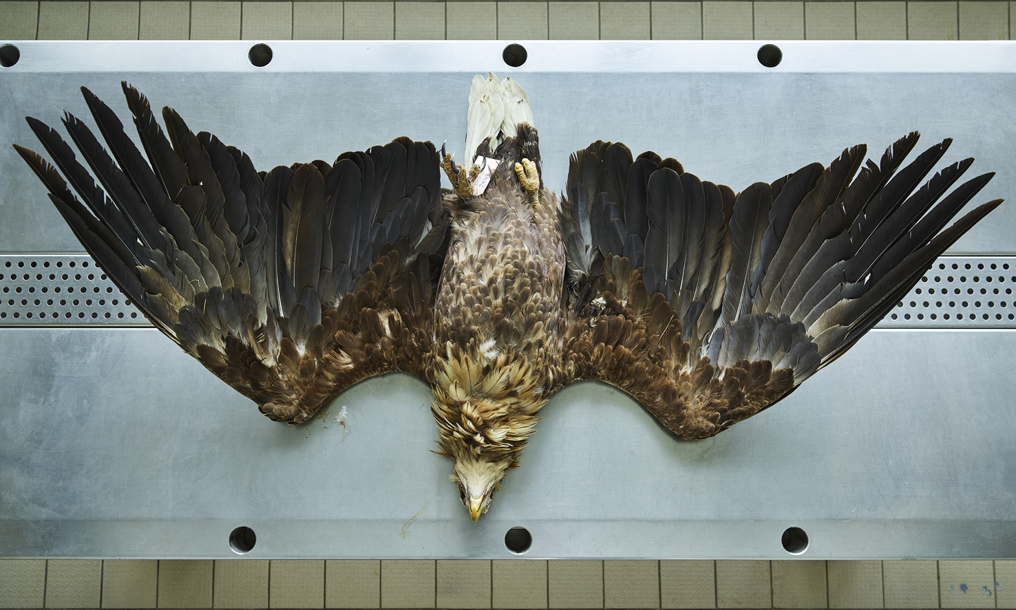 © Thomas Struth