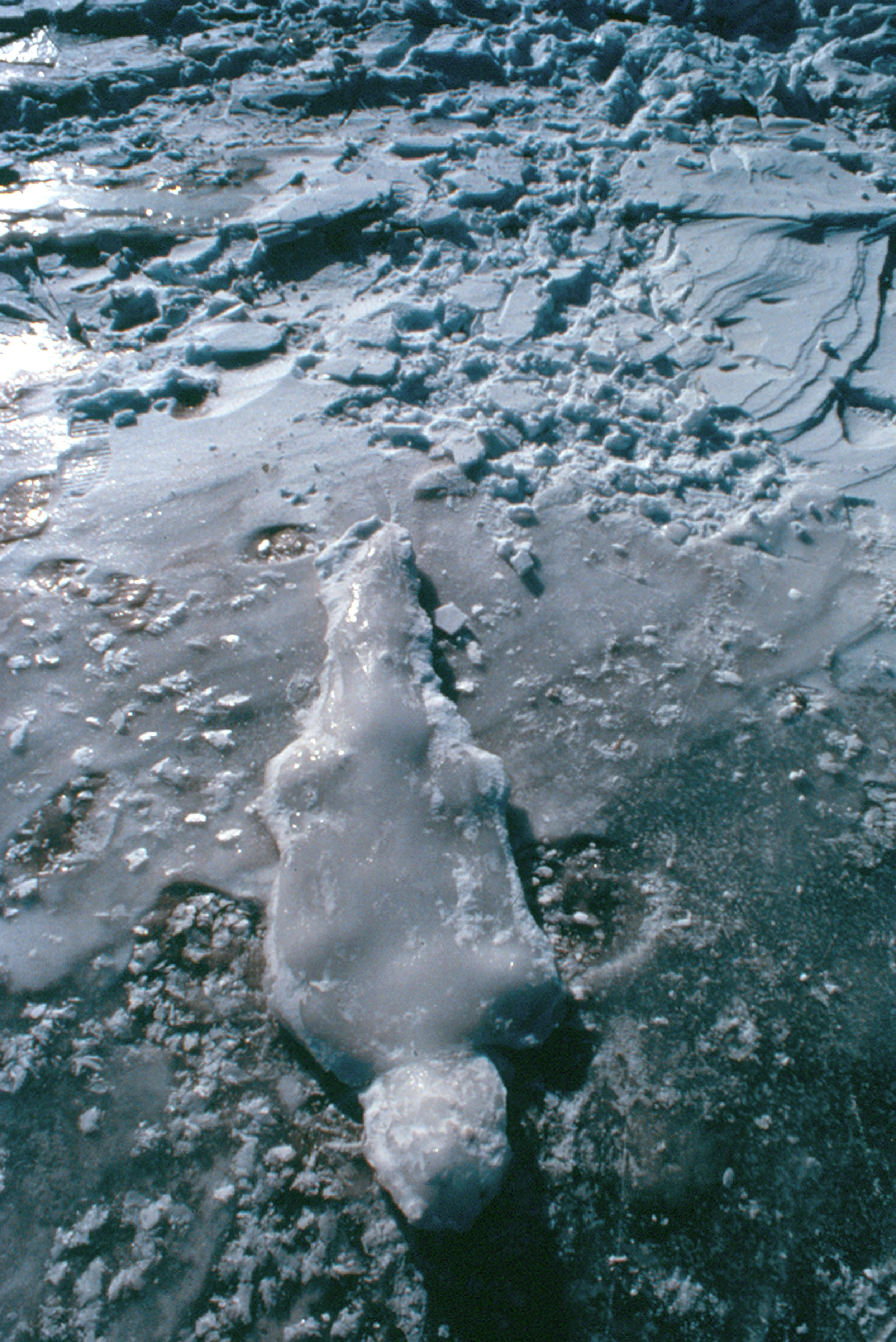 Untitled: Silueta Series, Iowa , 1977 Photograph © The Estate of Ana Mendieta Collection, LLC,Courtesy Galerie Lelong, New York