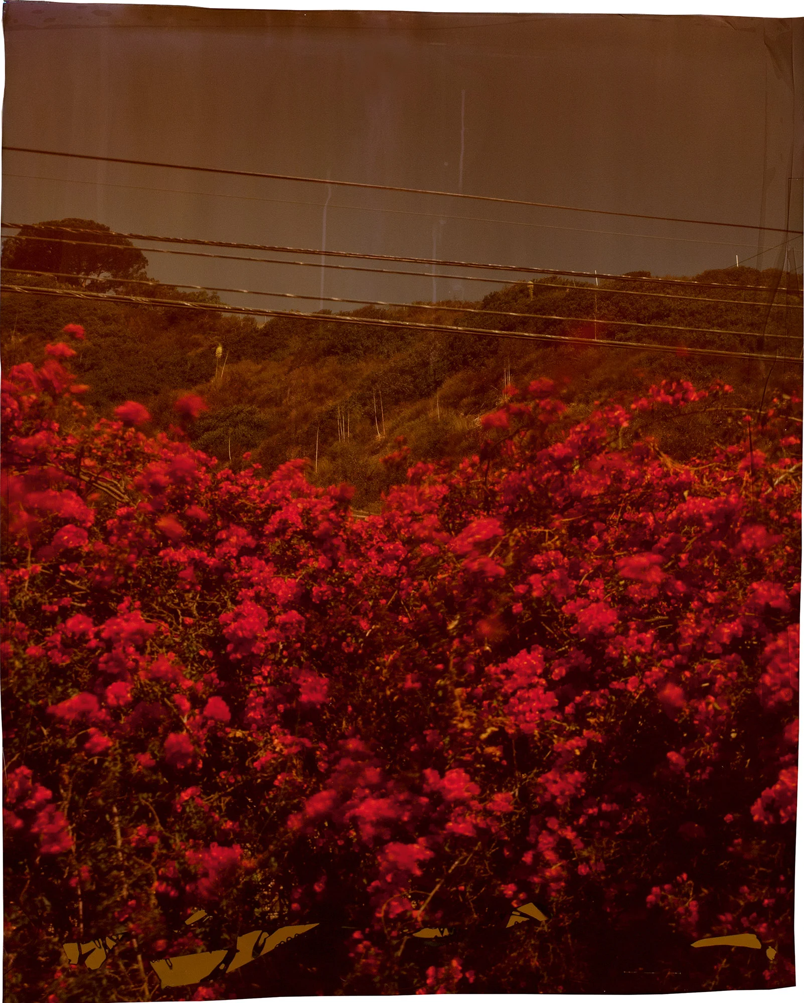 John Chiara, Topanga Canyon Boulevard at Pacific Coast Highway, Los Angeles, 2012 ; from John Chiara: California