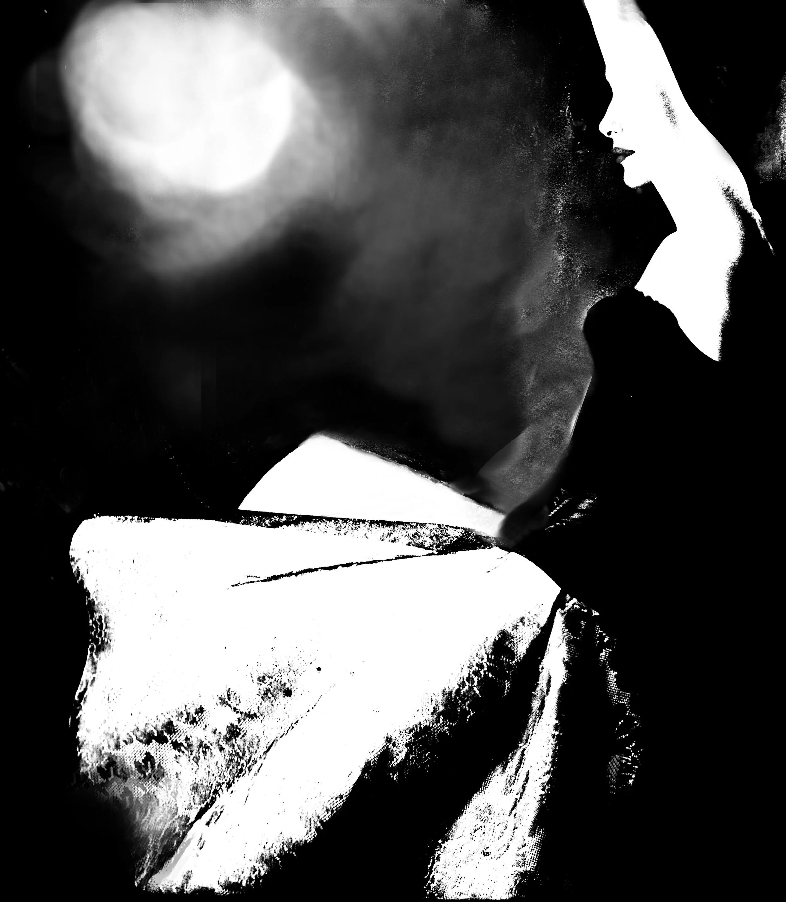 Lillian Bassman's photograph of a model wearing Basque Slip by Peter Pan, 1955.