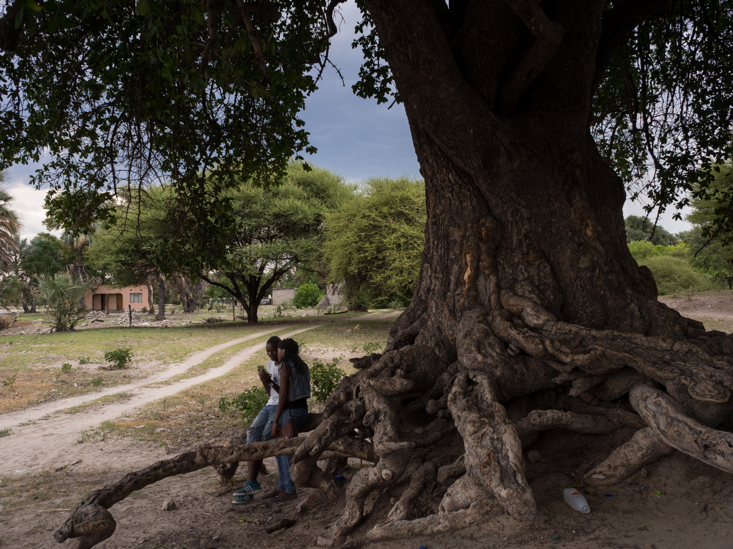 "Notes from a Distance" © Javier Izquierdo