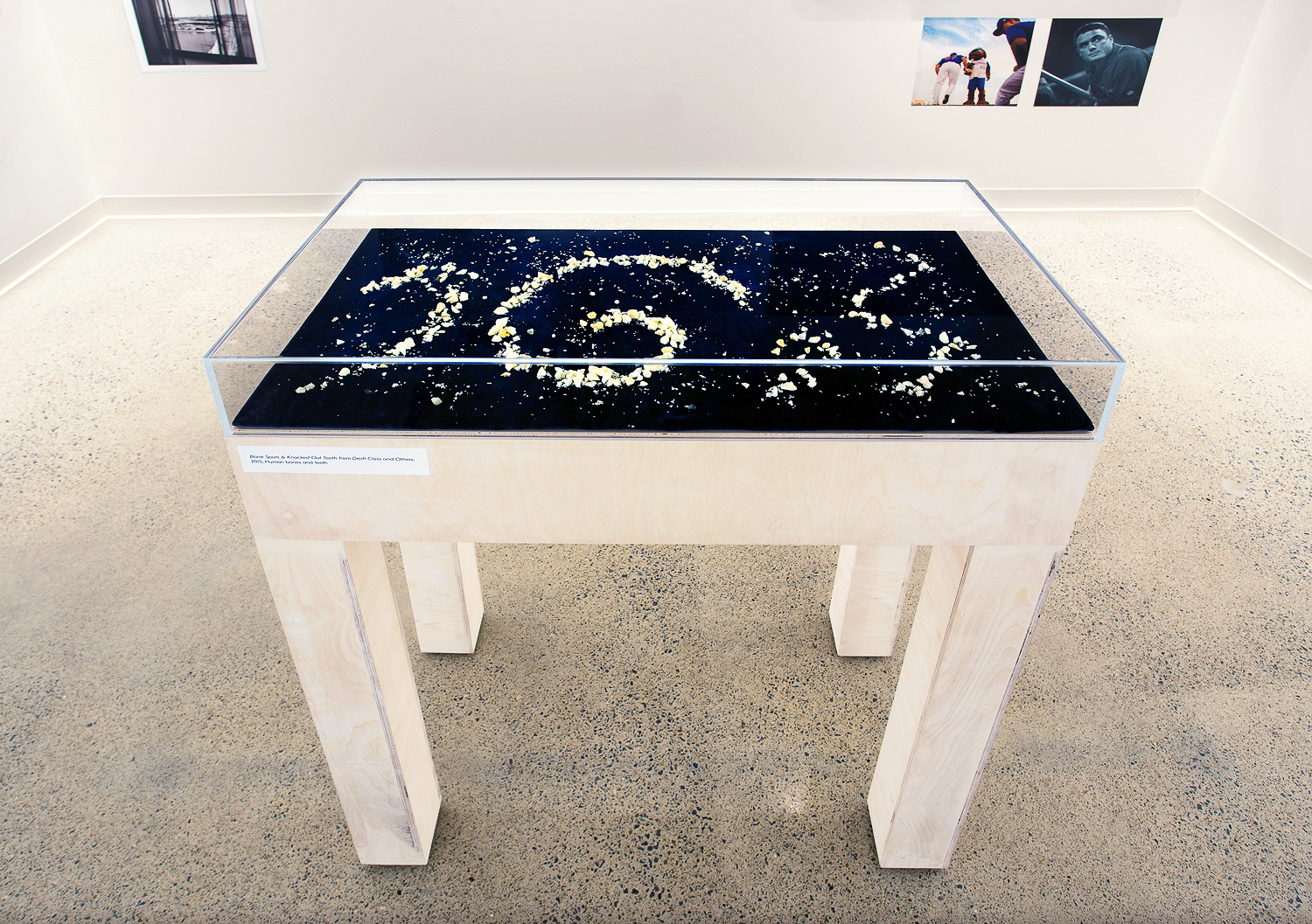 Tabitha Soren