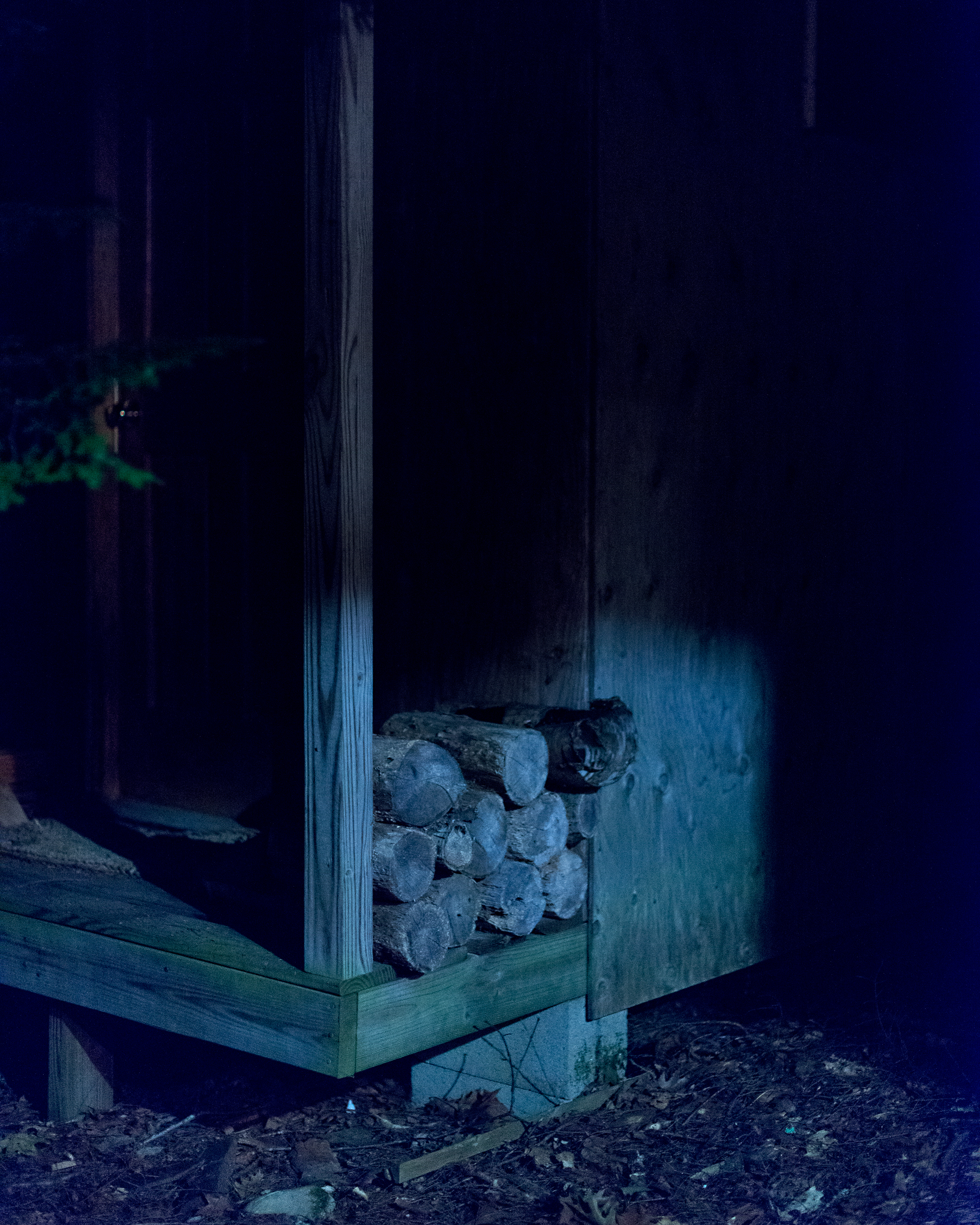 Firewood at Midnight © Amani Willett 