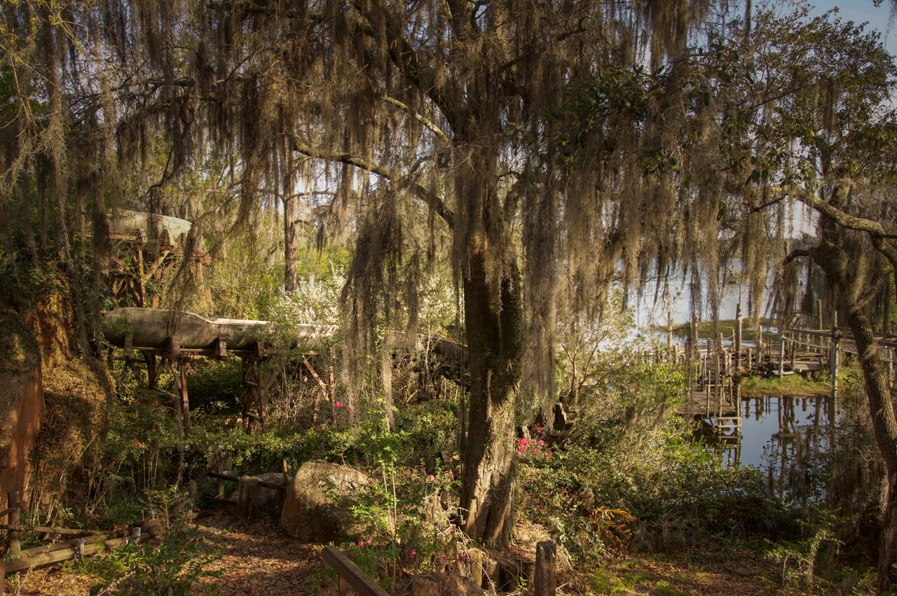 River Country, Seph Lawless
