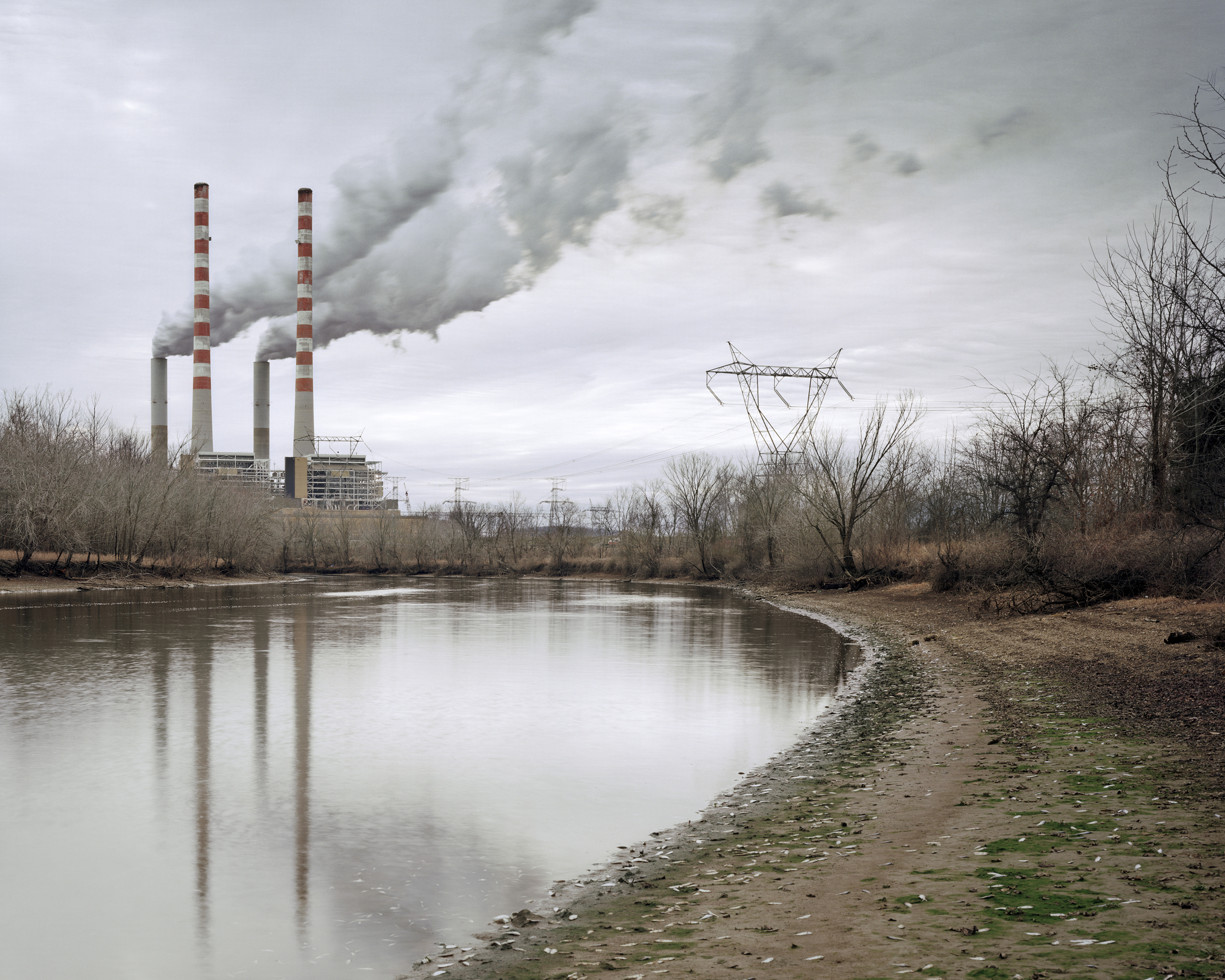 Cumberland Fossil Plant, Cumberland River, Cumberland City, Tennessee 2011 © Jeff Rich This kill was likely caused by the high-temperature waste-water which is regularly released by the TVA's Cumberland Fossil Plant.