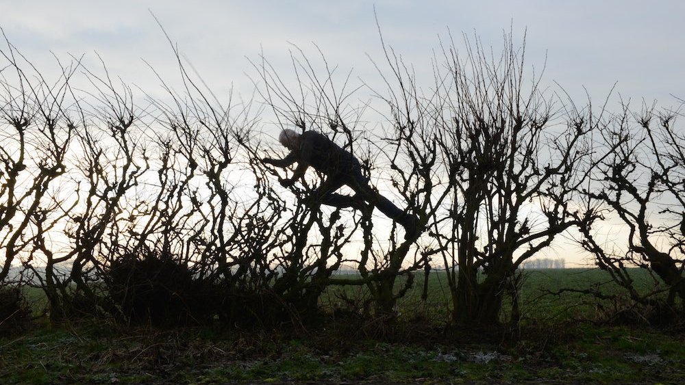 Landscape artist Andy Goldsworthy © Leaning into the Wind (2018)