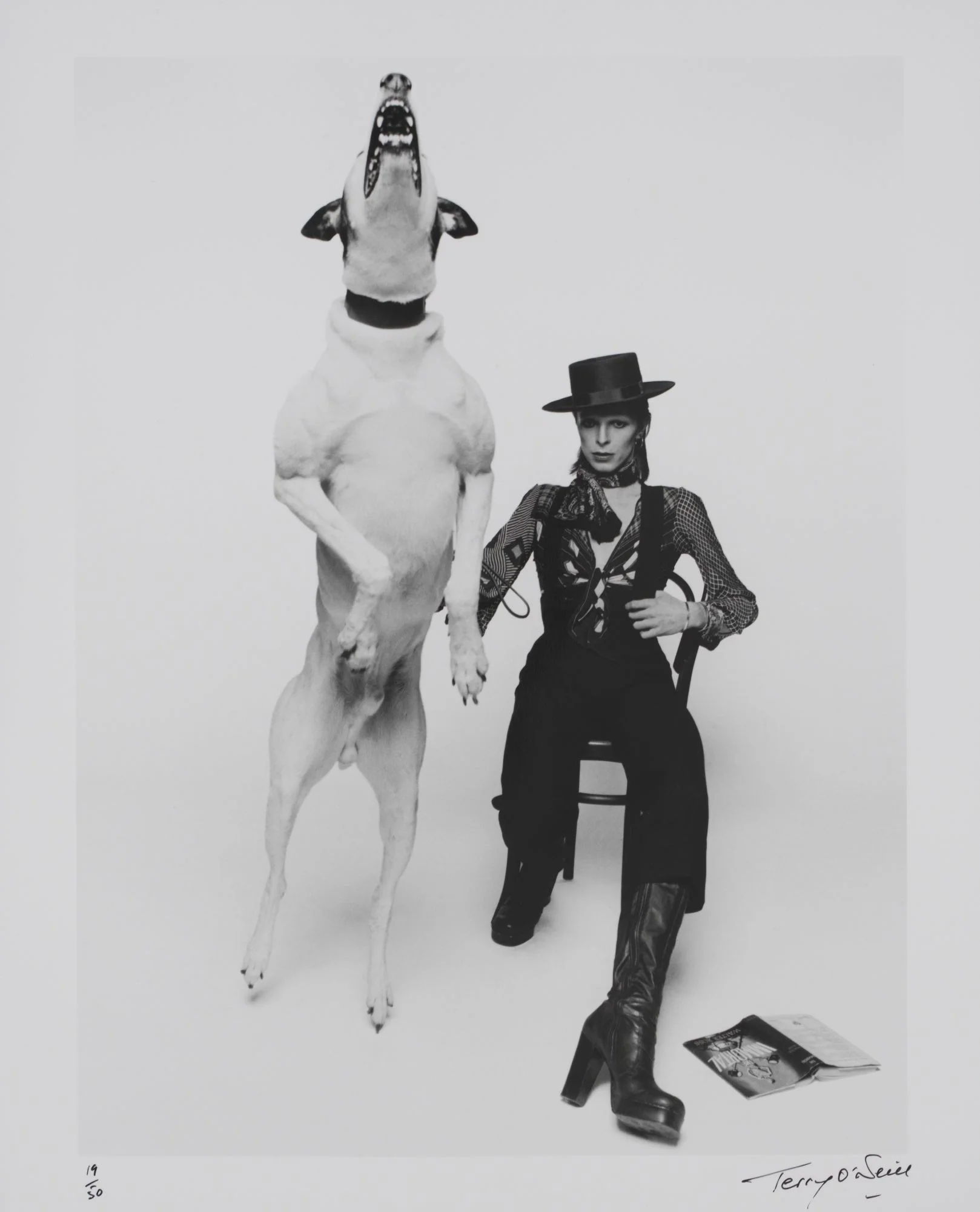 Promotional photograph of David Bowie for Diamond Dogs, 1974. Photograph by Terry O'Neill. Image © Victoria and Albert Museum 