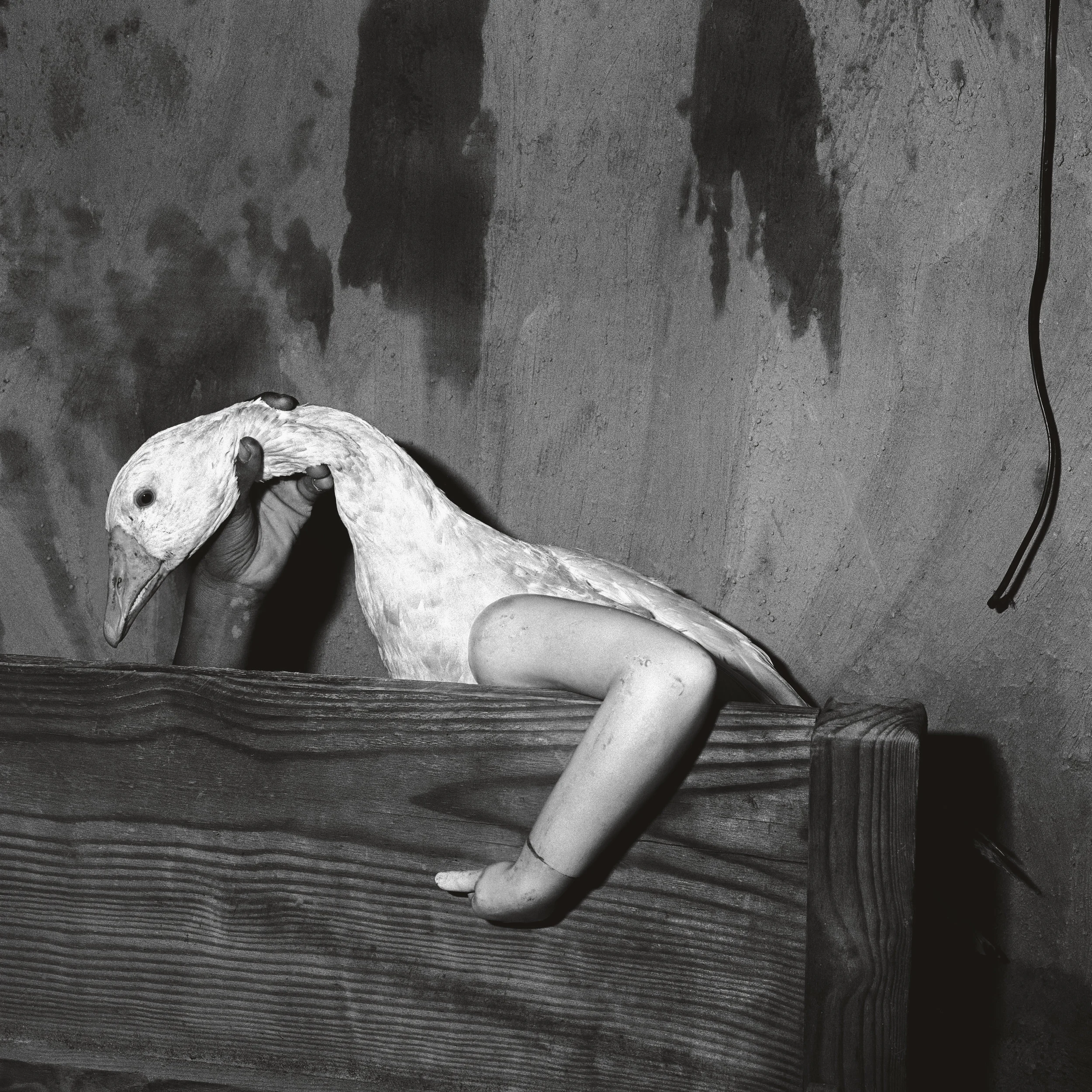 洋書 BALLENESQUE: Roger Ballen: Retrospective Ballenesque, Roger Ballen: A Retrospective | Roger Ballen