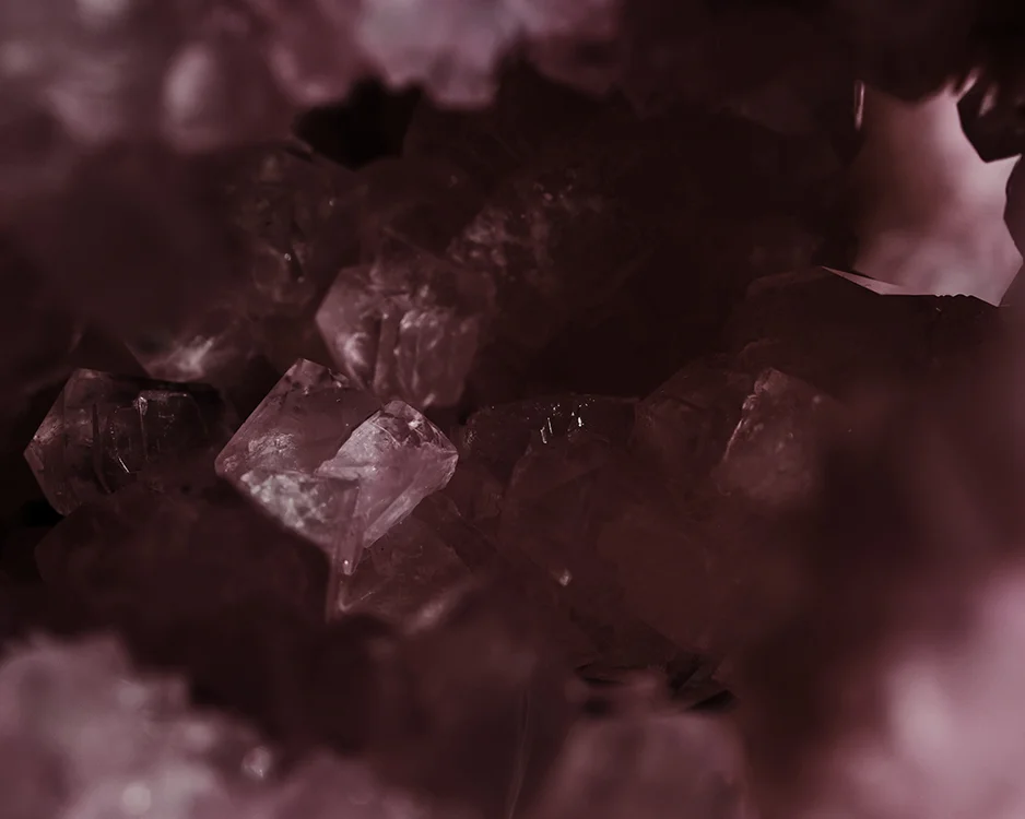 Abnegate © Leticia Flores