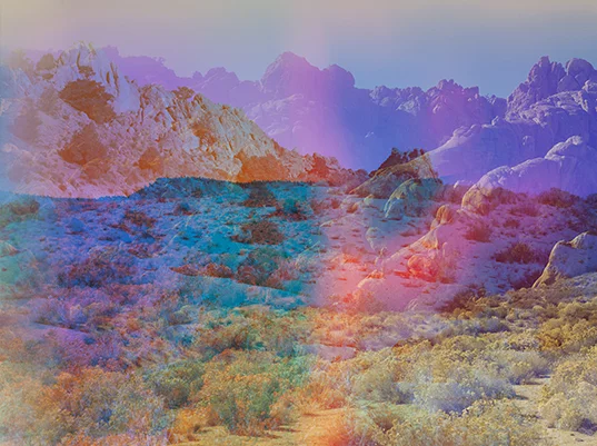 © Terri Loewenthal