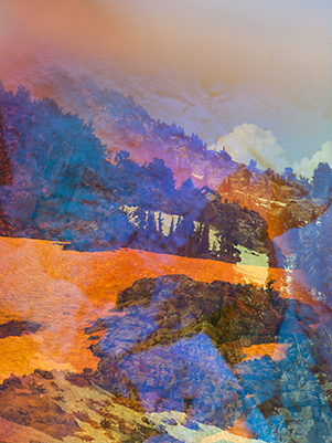© Terri Loewenthal