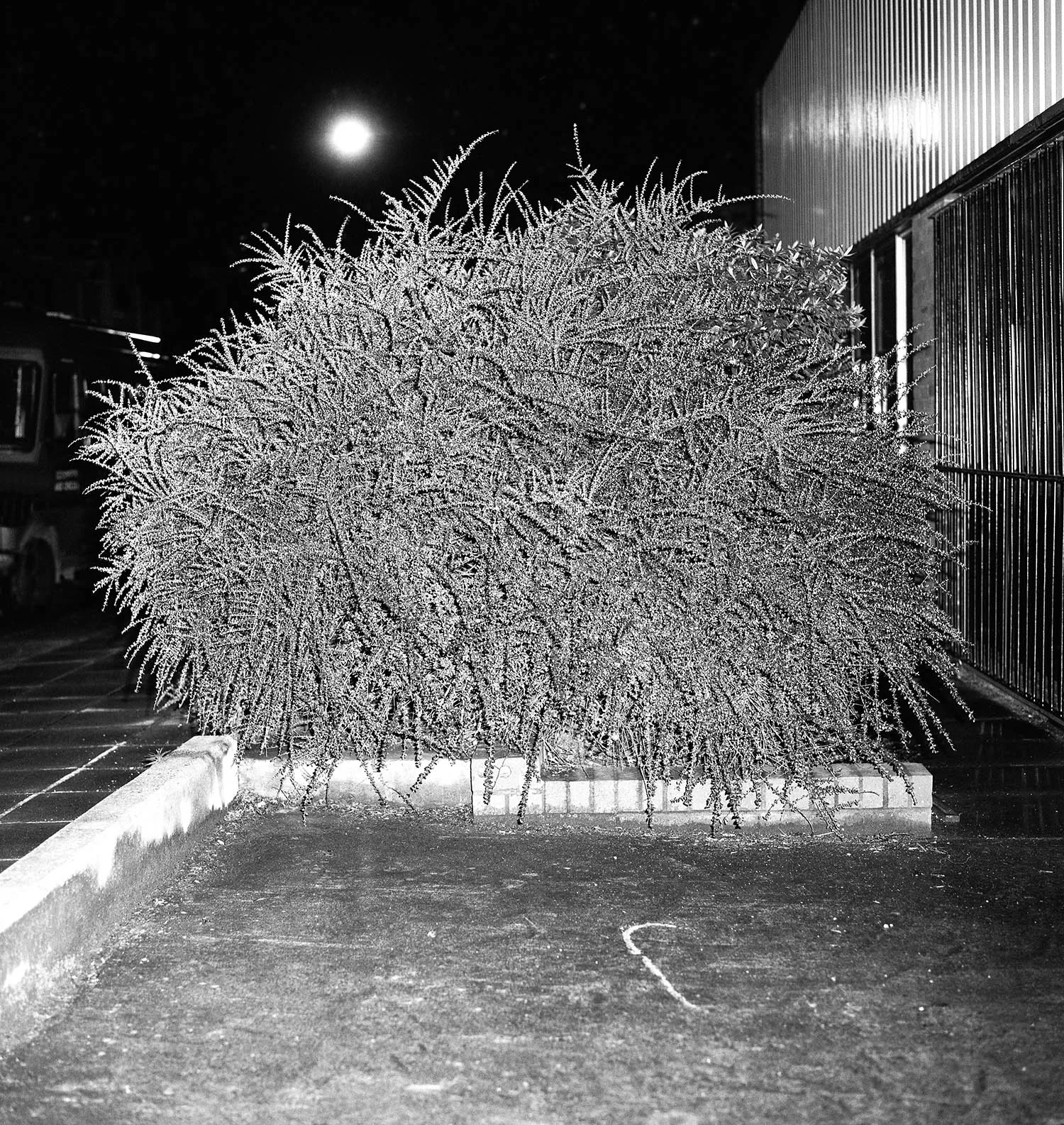 ©Kevin Lear, Image from A Glass Darkly (MACK, 2017). Courtesy of the artist and MACK