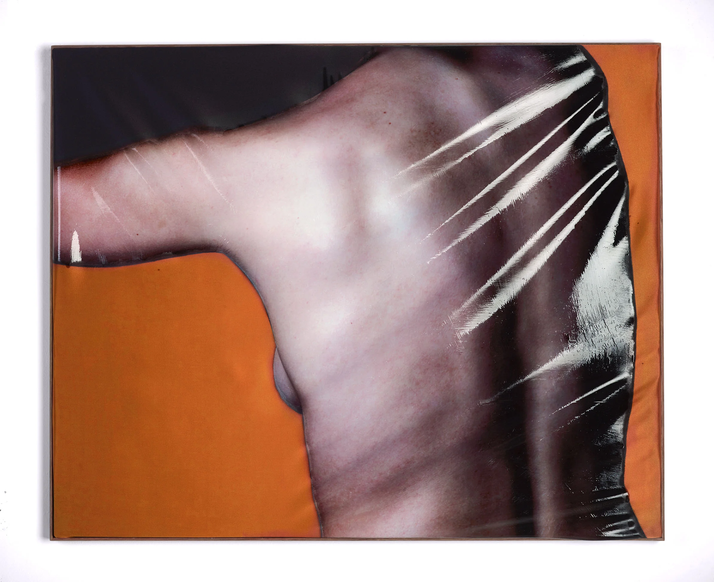 Study of back #2, 2018. Pigment print on silk, silicone rubber, anodised aluminium. 99 x 87 x 3 cm