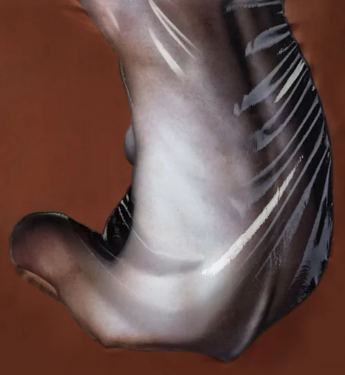 Study of back #1, 2018. Pigment print on silk, silicone rubber, anodised aluminium. 95 X 105 X 3 cm