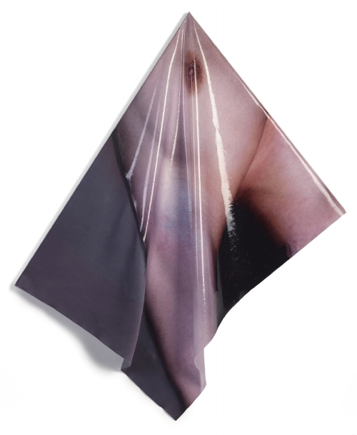 Axilla, 2018. Pigment print on silk, silicone rubber, anodised aluminium. 70 X 75 X 2.5 cm