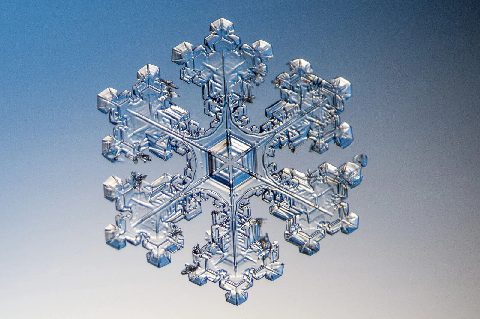 There are many reasons why no two snowflakes are alike. All snowflakes start out as a six-sided structure called a plate. As the plate grows, wings form and the ice crystal then becomes a dendrite. Not all storms provide snowflakes that look like this. Sometimes the snow is granular and appears almost like chipped ice. Snowflakes can be columns, needles, or can also exhibit a frost-like condition called rime. © Michael Peres