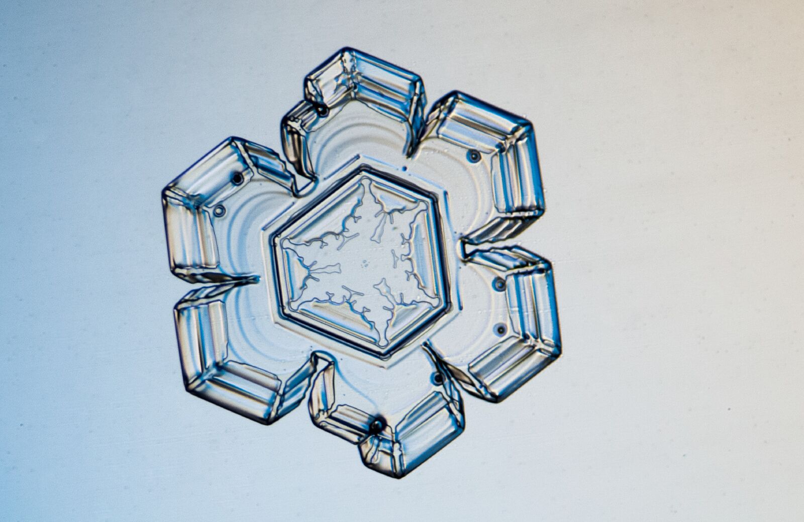 This picture features a stellar plate crystal of a snowflake photographed December 14, 2013. The crystal was approximately 2mm. © Michael Peres