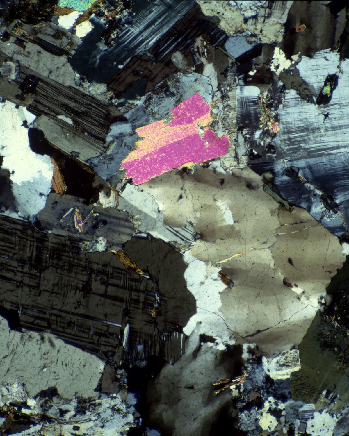 This picture features muscovite biotite granite, a North American mineral. The photomicrograph was made using polarized light. This reveals the birefringence (multiple refractive indices), and is evidenced by the appearance of the various colors in the picture. The picture is approximately 100x. © Michael Peres