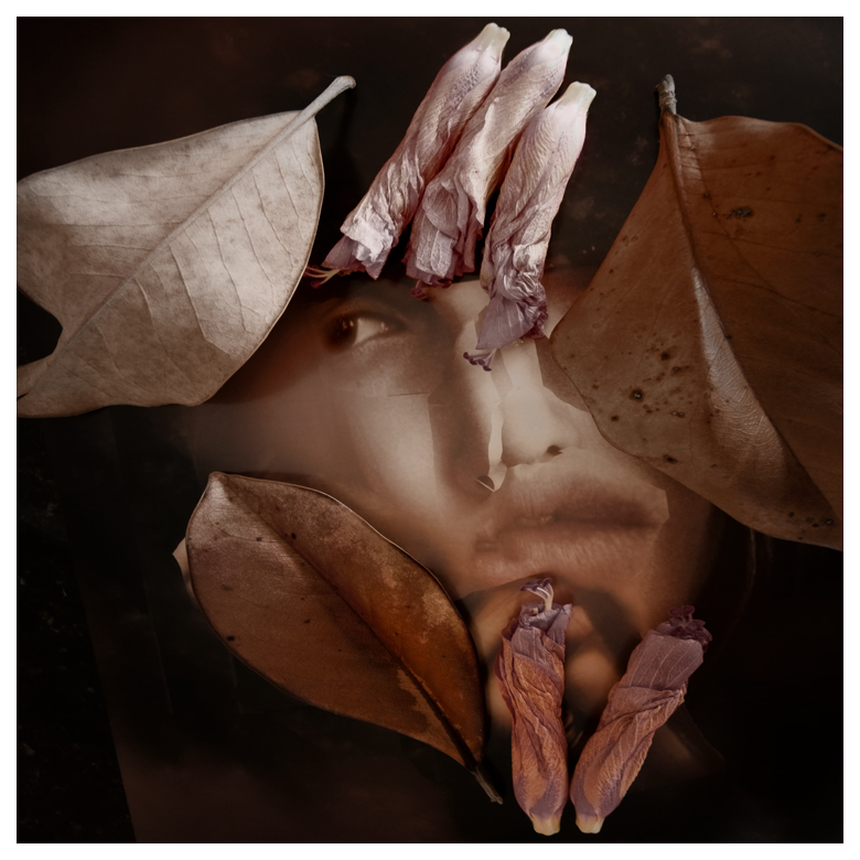 With Certain Petals and Leaves © Carole Usdan