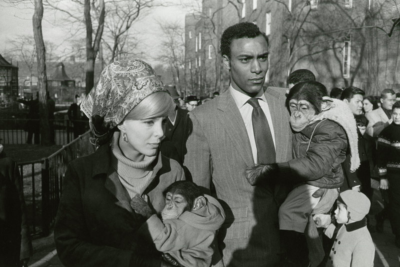 GARRY WINOGRAND Central Park Zoo, New York, 1967 gelatin silver print image, 8 3/4 x 13 inches © The Estate of Garry Winogrand 