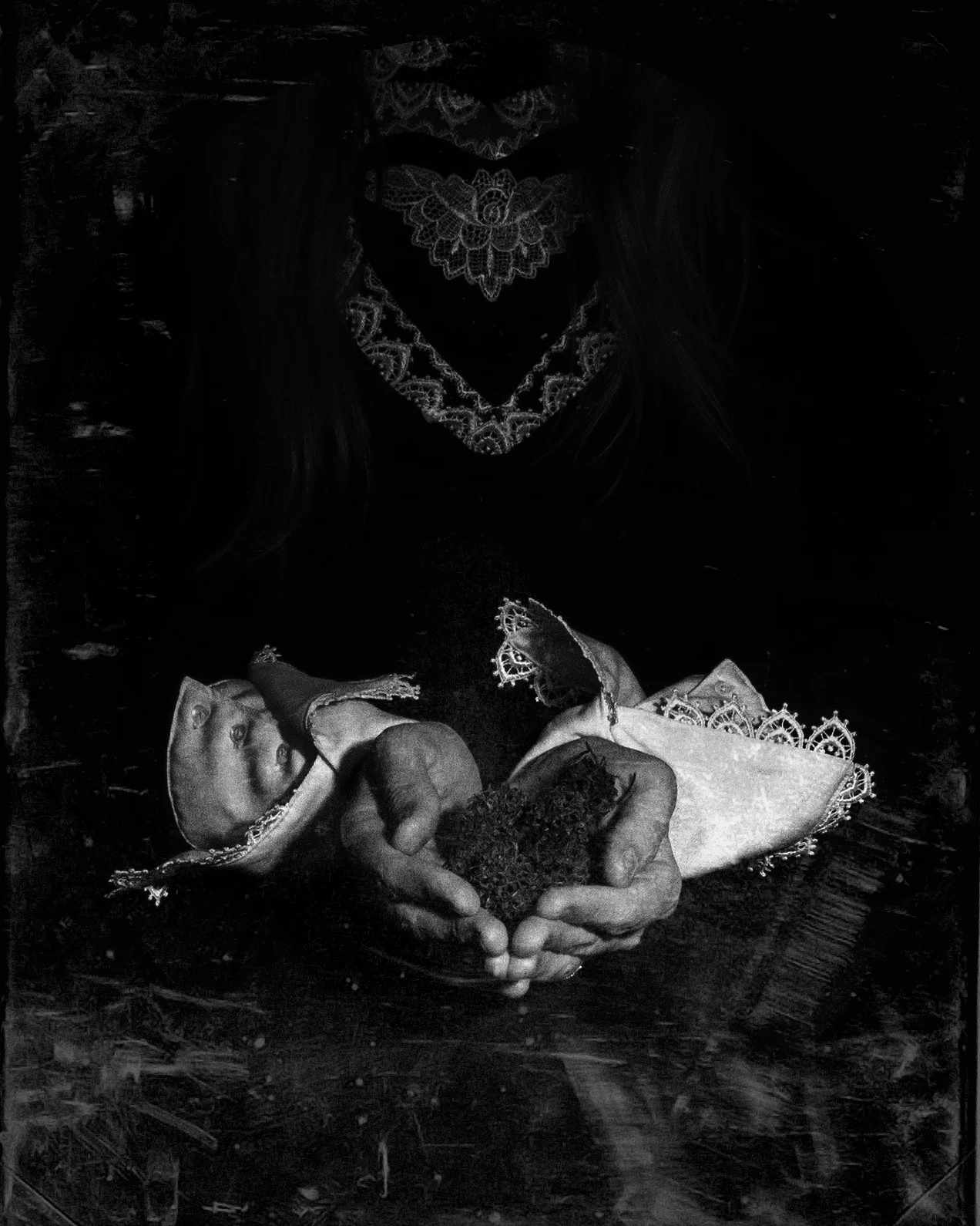 © Amy Mills