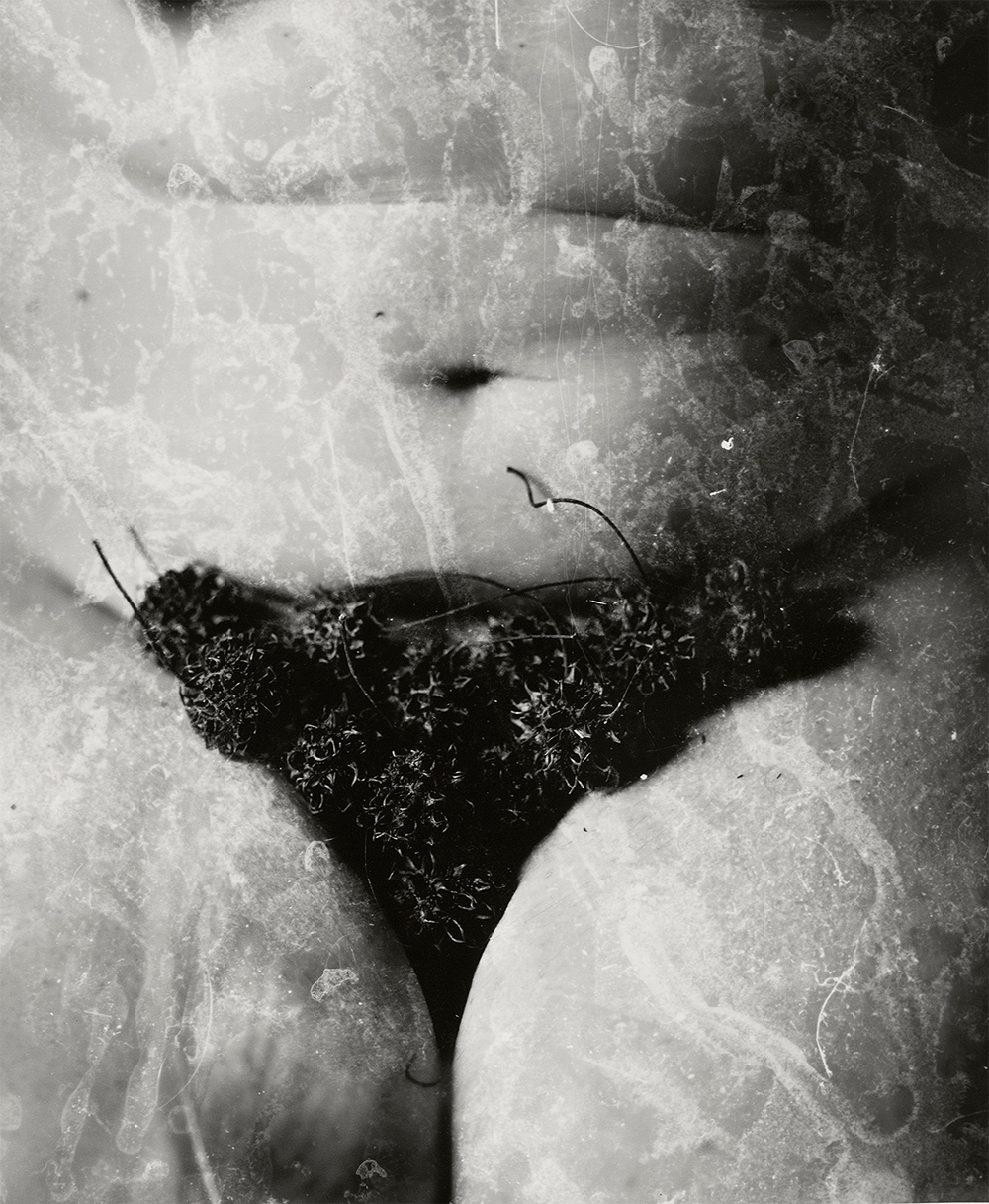 © Amy Mills