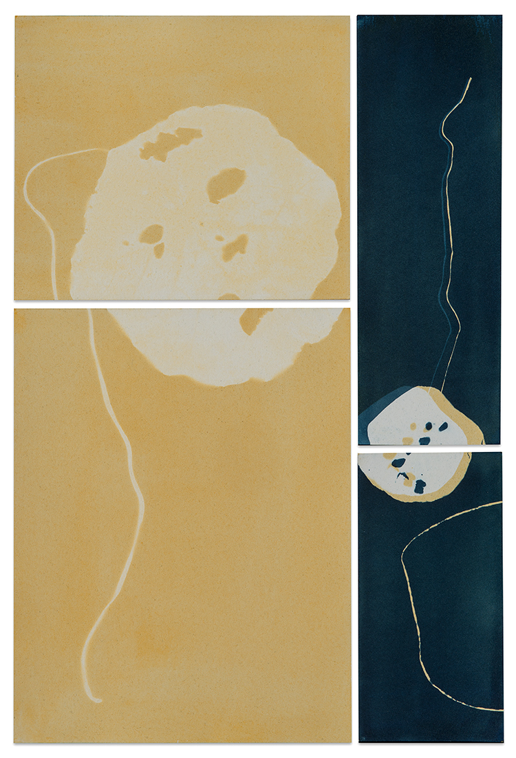 Homage to Yellow and Blue © Paula Riff