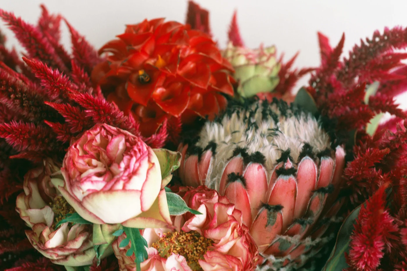 Araki, Untitled (Flower Cemetery), 2017