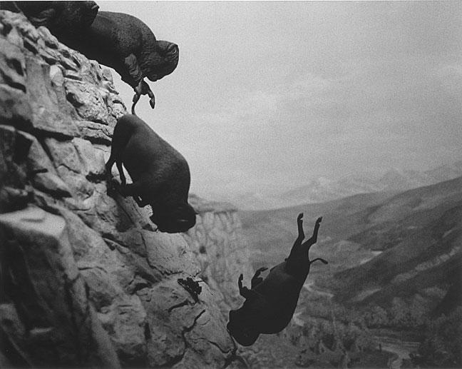 © David Wojnarowicz