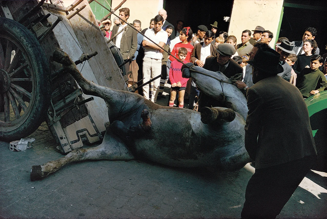 Courtesy and Copyright of Joel Meyerowitz Málaga, Spain, 1967