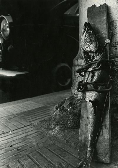Jorge Brantmayer (Chile, 1954), Prisonero Encadenado, Santiago, 1979