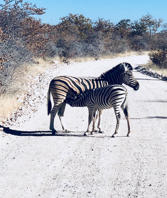 Namibia 1.jpg