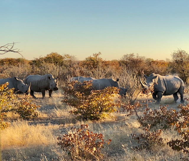 Namibia 2.jpg