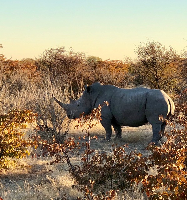 Namibia 3.jpg