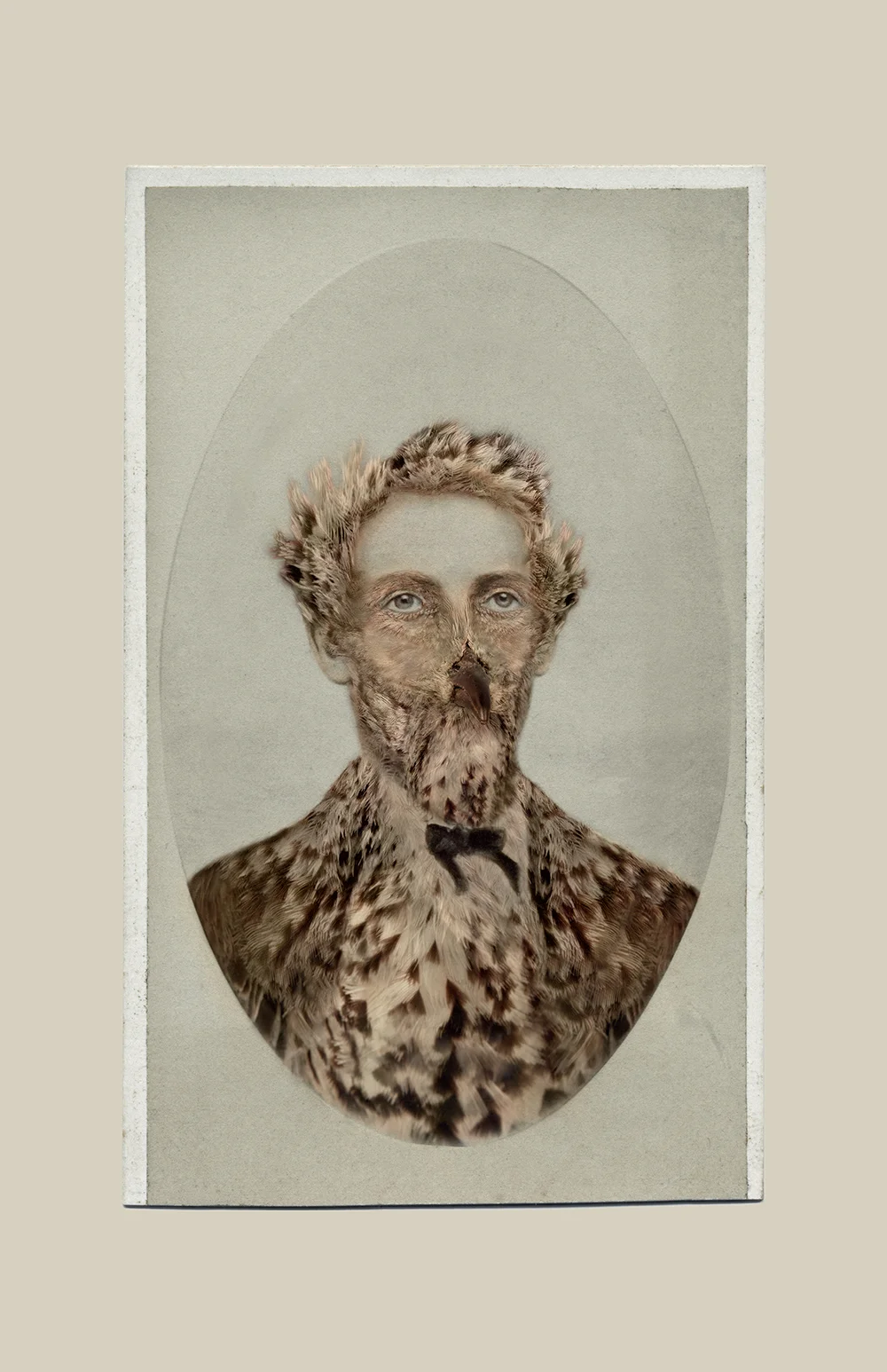 Aviary © Sara Angelucci Sage Thrasher/endangered , 2013 C-print, 22 x 33.5 inches