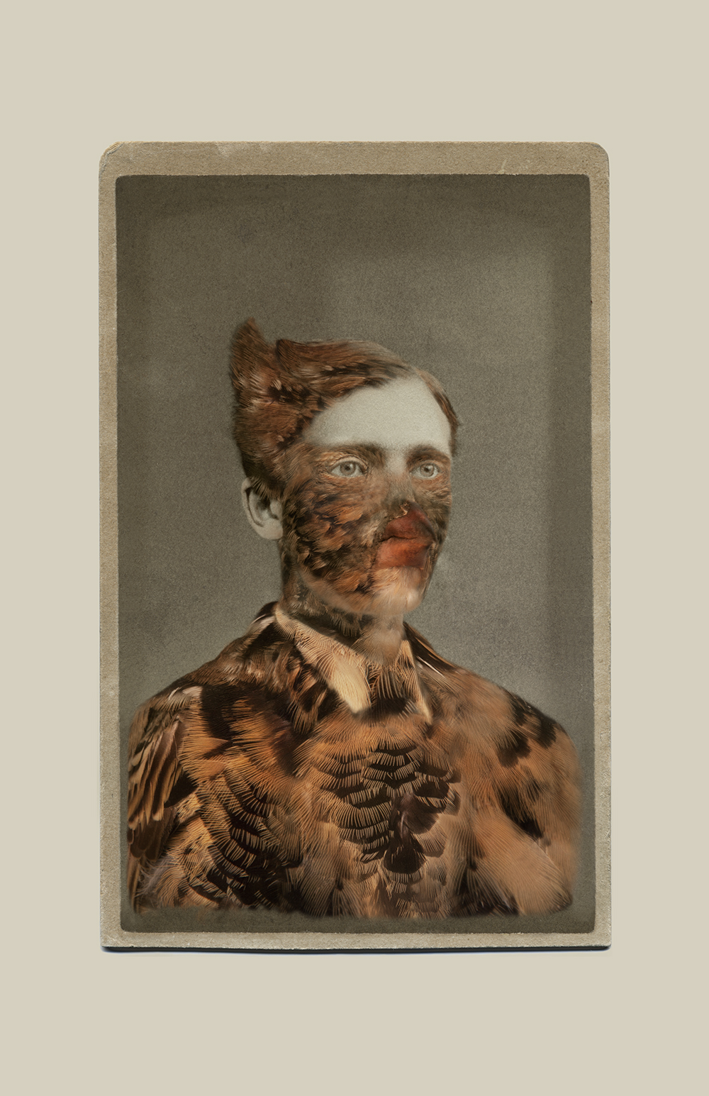 Aviary © Sara Angelucci Winter Bobolink/endangered , 2013 C-print, 22 x 33.5 inches