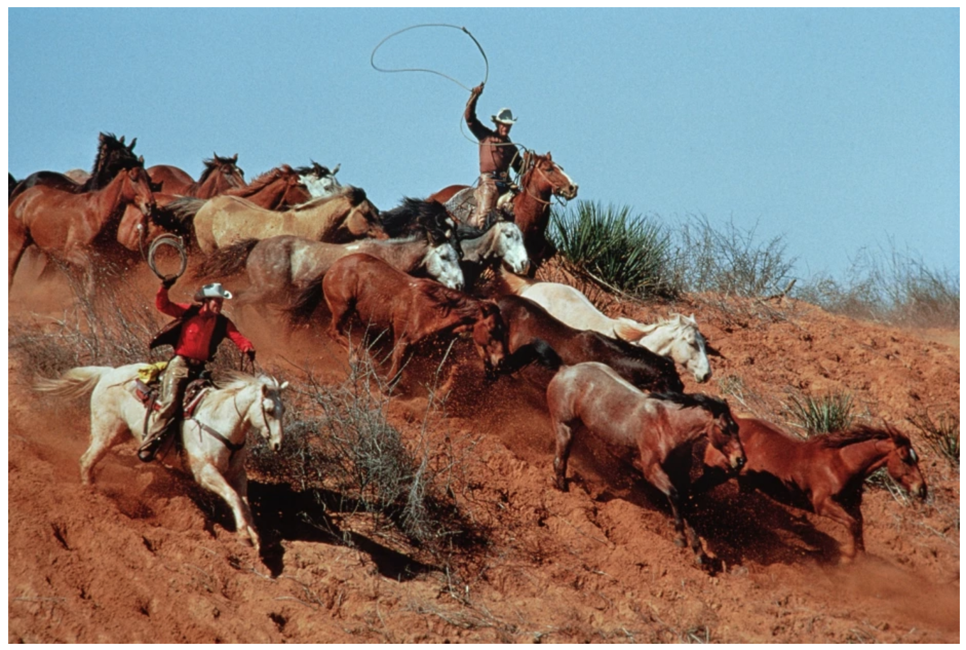 Horsing Around © Norman Classen Courtesy of M+B Photo