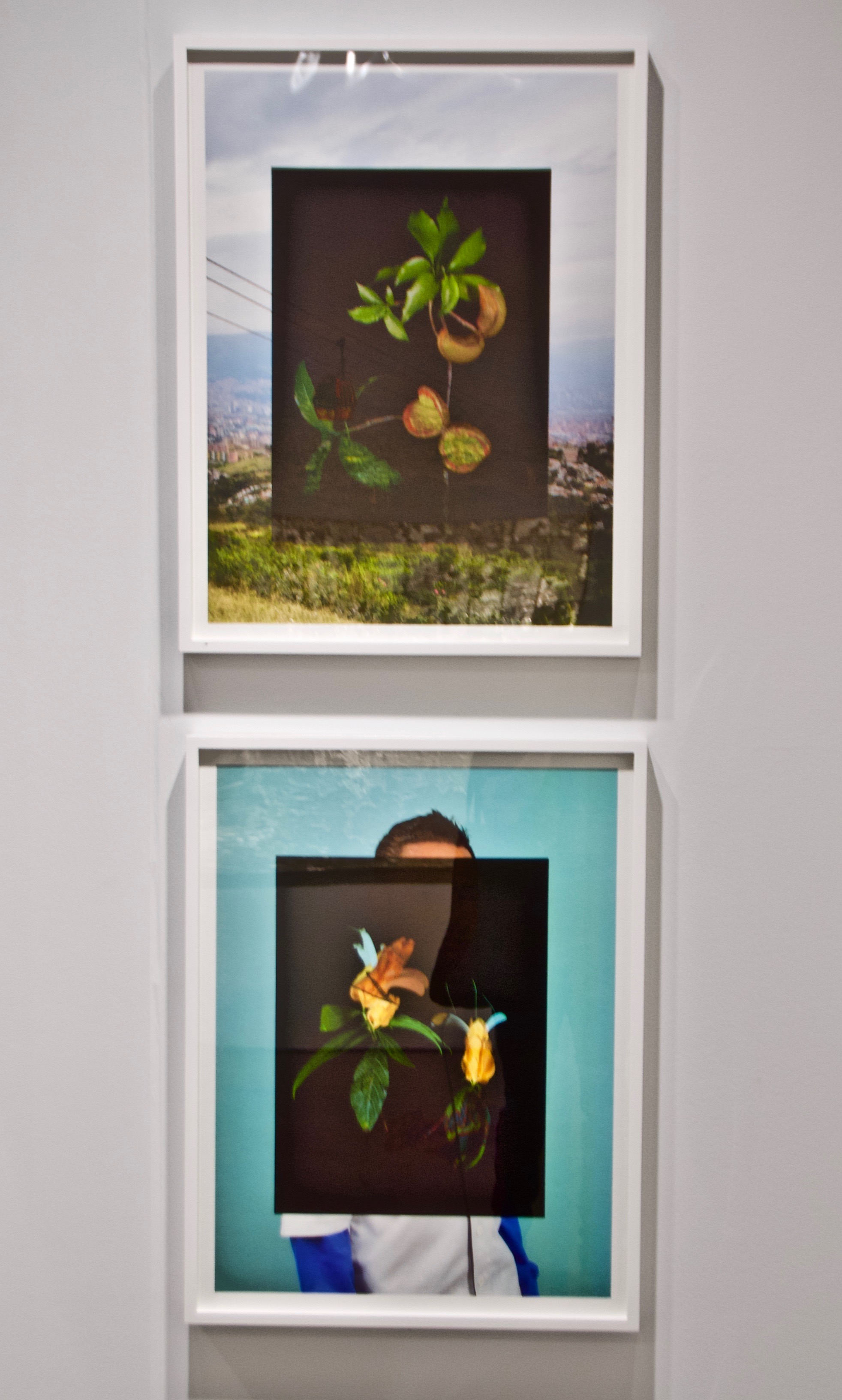 Photo of Corine Vermeulen’s work © Ruben Natal-San Miguel