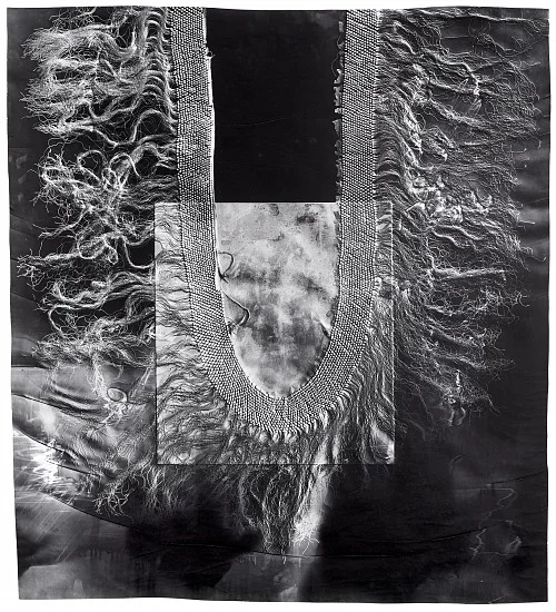 “Snakes in the Garden (1),” 2018. Gelatin silver print; unique photogram with impression. Courtesy of Gitterman Gallery. © Klea McKenna