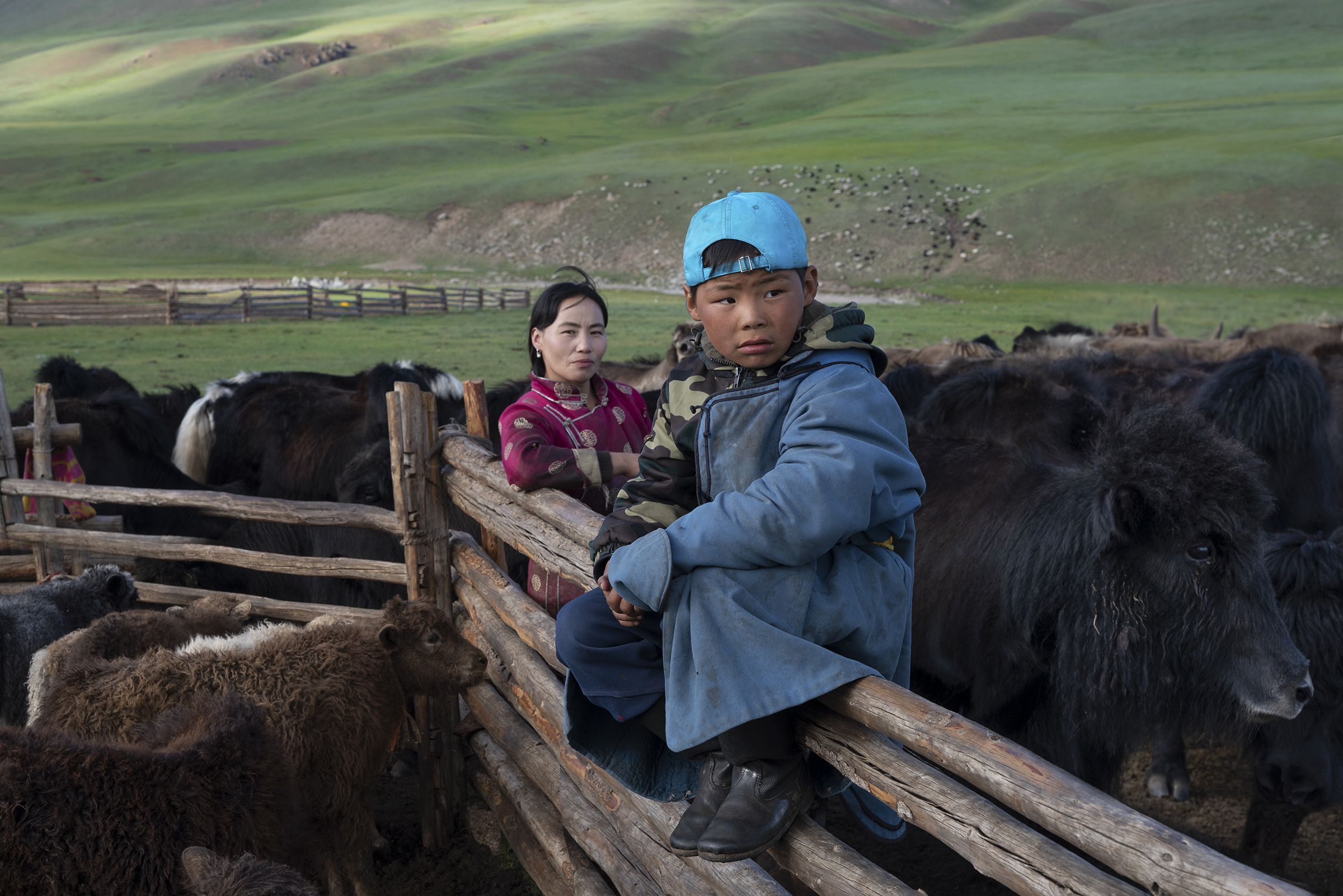 A Mongolian woman with her son and yak herd. Nomadic families roam the land in search of the tall grass for their animals. © Meghan Boody