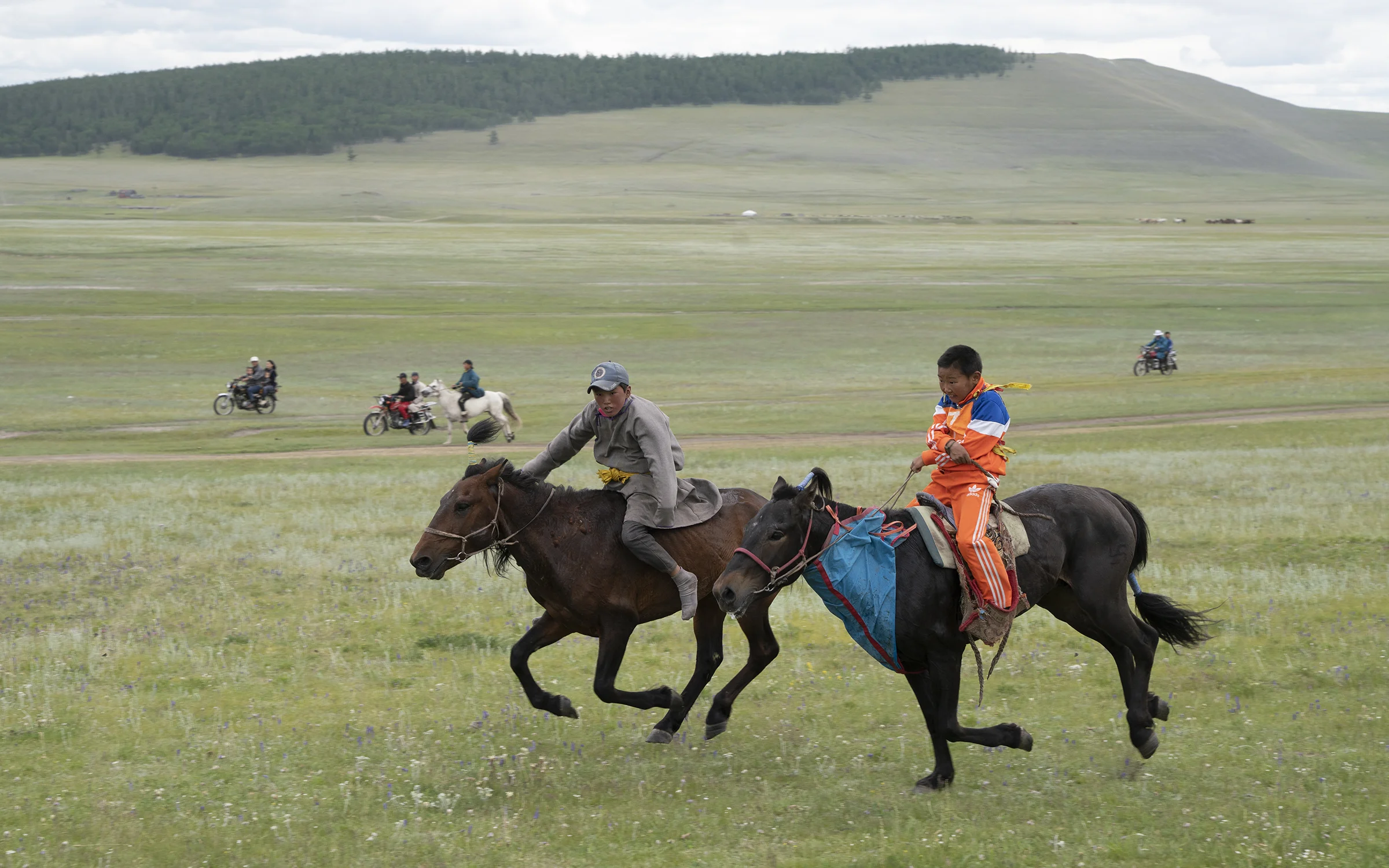 Young jockeys race in the competition for 3 year old horses at the Nadaam festival in Tsagaannuur. Nadaam is a huge deal in Mongolia. Villagers prepare all year for these races. © Meghan Boody